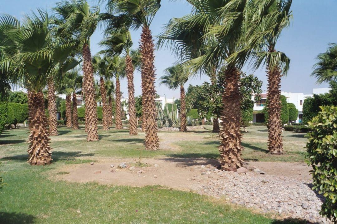 Gartenanlage Lotus Bay Beach Resort