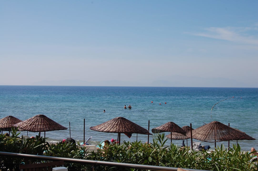 Poolbar mit Blick aufs Meer Hotel Ephesia