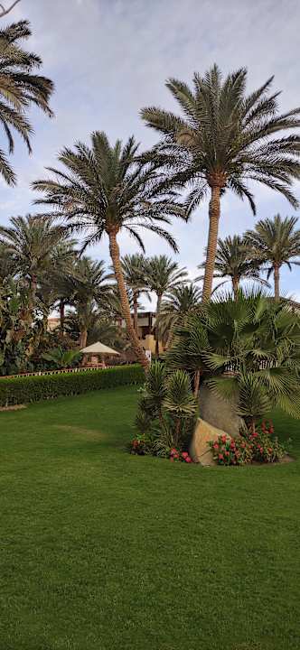 Außenansicht Steigenberger Coraya Beach - Adults only