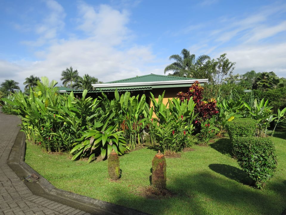Alle Bungalows sind super in die Natur integriert  Arenal Manoa & Hot Springs Resort