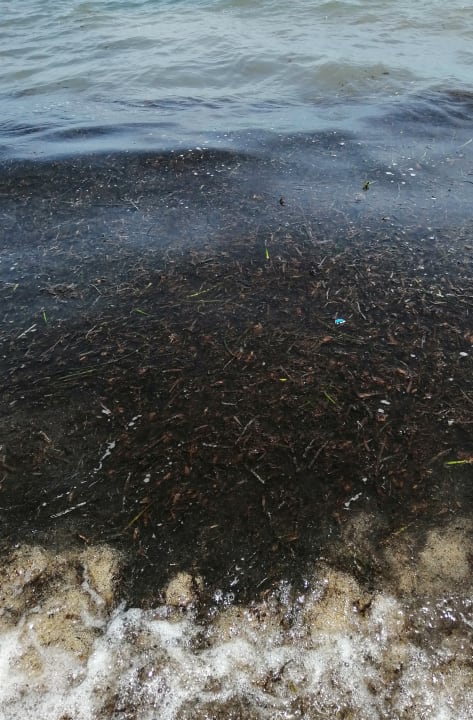 Strand Zita Beach Resort