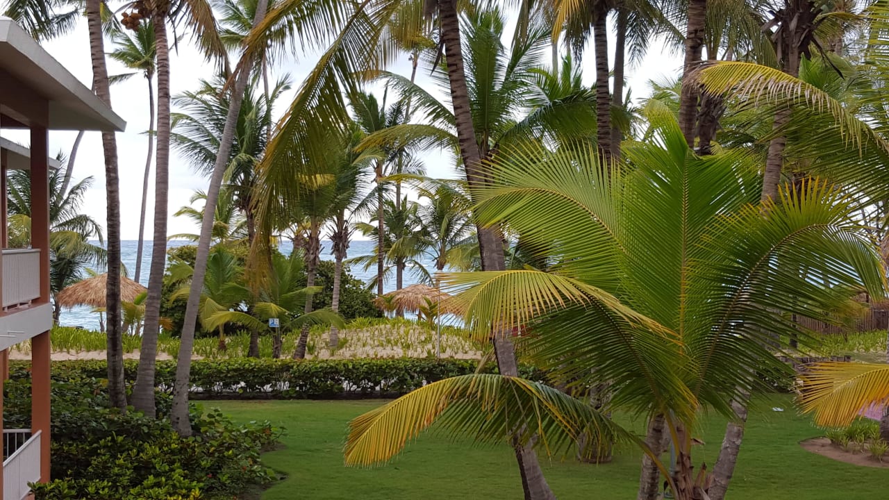 Blick aus unserem Zimmer Hotel Grand Palladium Palace Resort, Spa & Casino