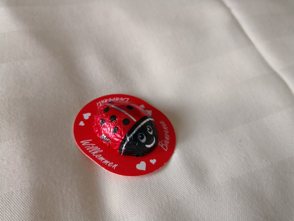 Zimmer Hotel Almhof Lackner