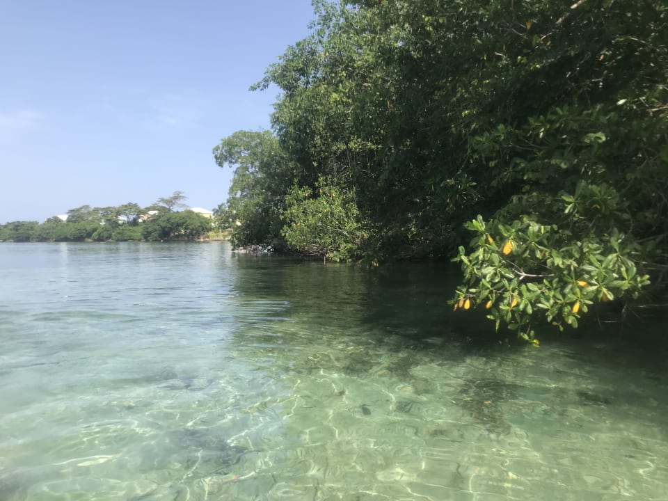 Strand Hotel Riu Negril