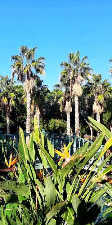 Gartenanlage Gardenia Hotel