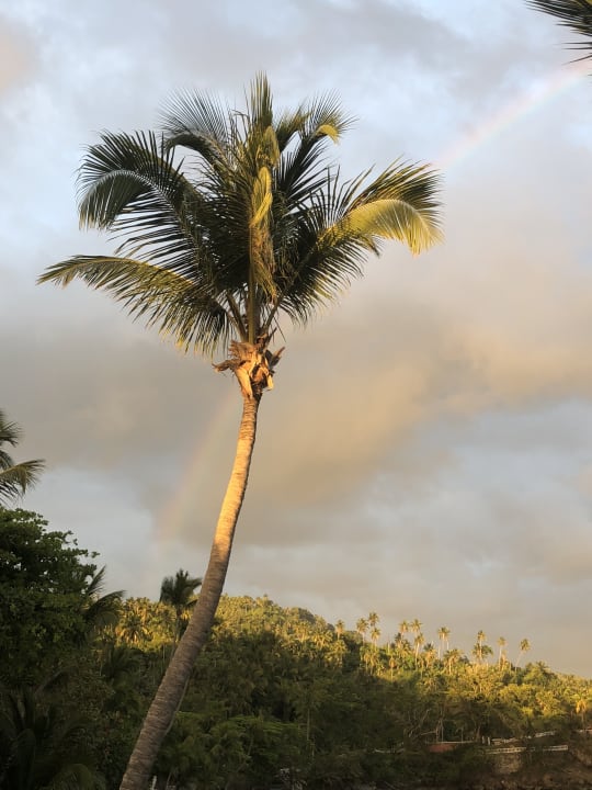 Gartenanlage Bahia Principe Grand Samana - Adults Only