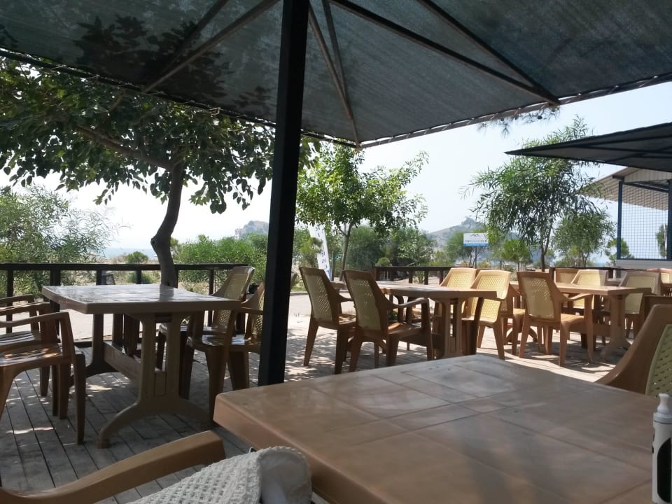 Strandbar The One Club Hotel