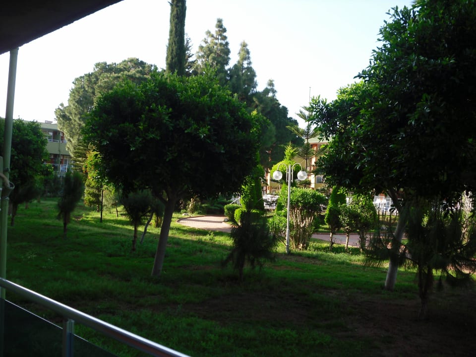 Blick vom Zimmer auf die Anlage Lonicera Resort & Spa Hotel