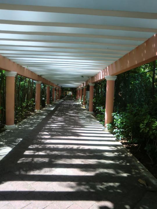 Weg zum Strand Hotel Riu Tequila