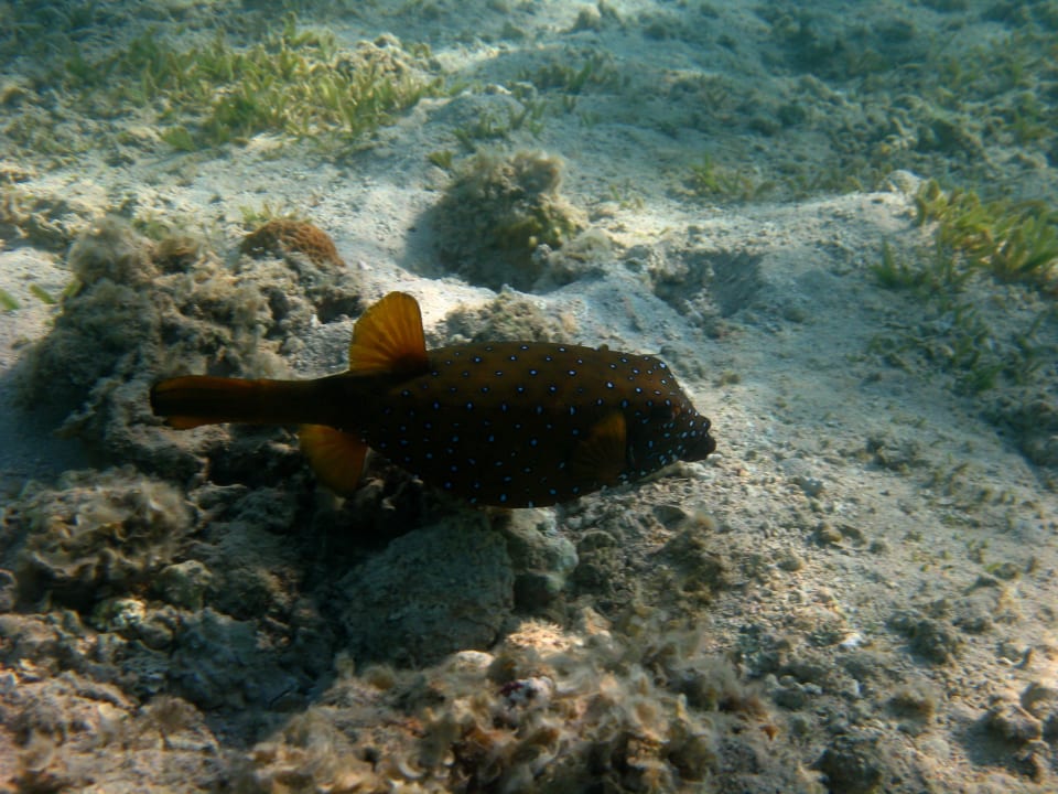 10 Stella Beach Resort & Spa Makadi Bay