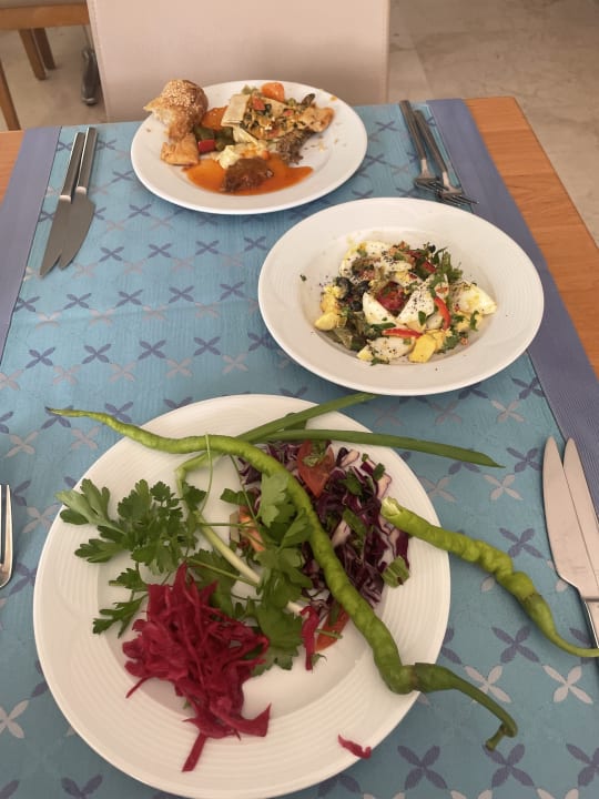 Gastro Trendy Palm Beach (Adults Only, 16+)
