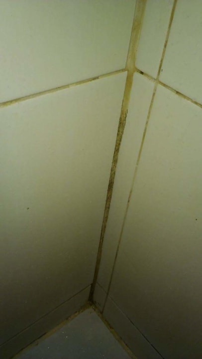 Zimmer The Green Park Resort