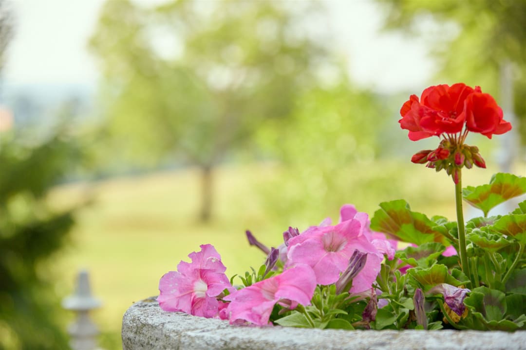 Ausblick Hotel Relais Königsberg