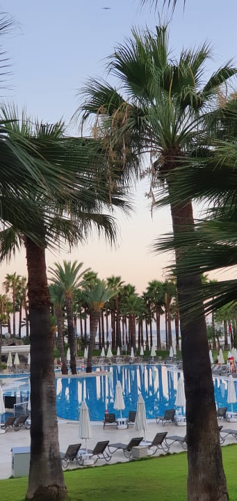 Pool Monachus Family Resort Sorgun