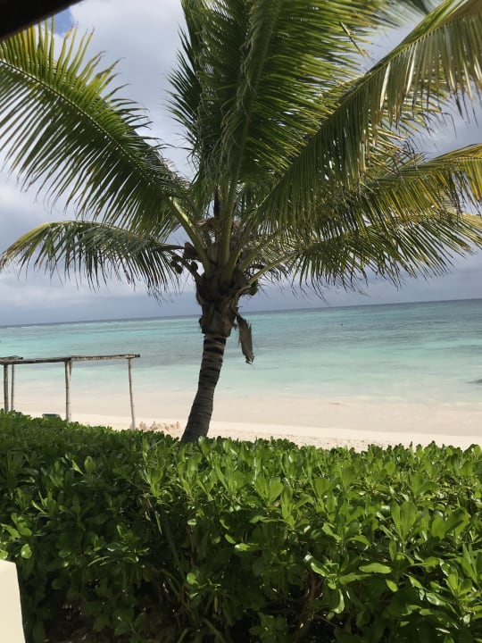 Strand Akumal Bay Beach & Wellness Resort