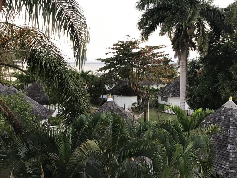 Gartenanlage Hotel Decameron Beach & Casino Resort