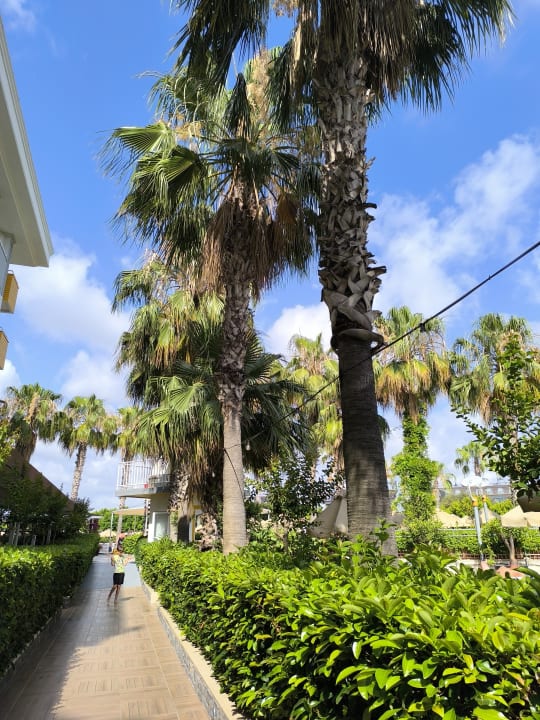 Gartenanlage Hane Family Resort