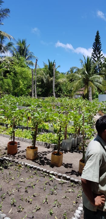 Gartenanlage Ellaidhoo Maldives by Cinnamon