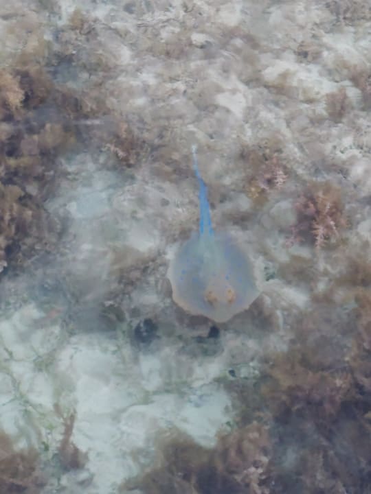 Strand Casa Mare Resort