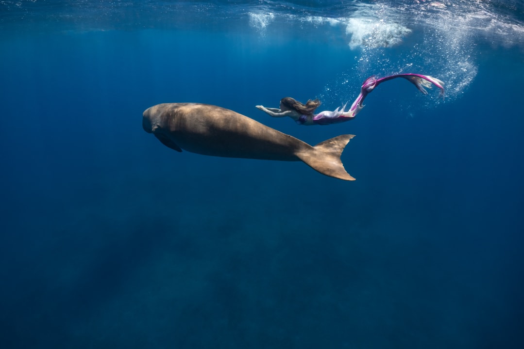 Strand Malikia Resort Abu Dabbab