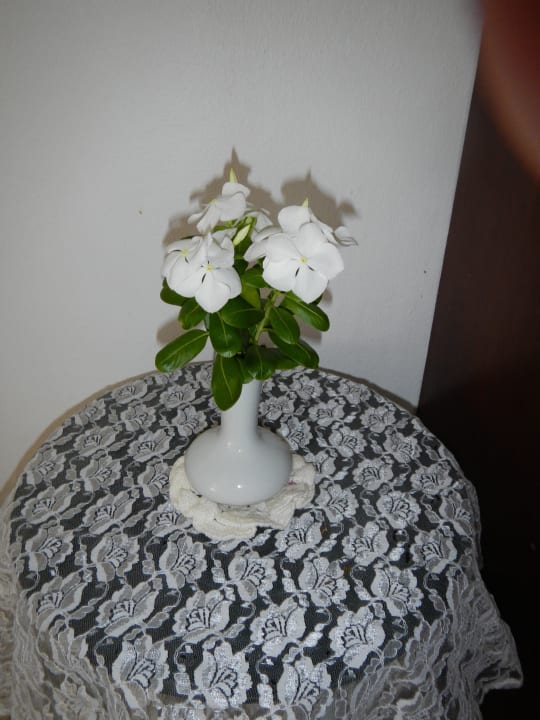 Willkommensstauß Hotel Coral Island Resort