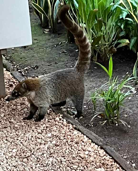 Sonstiges Viva Azteca by Wyndham - All Inclusive Resort