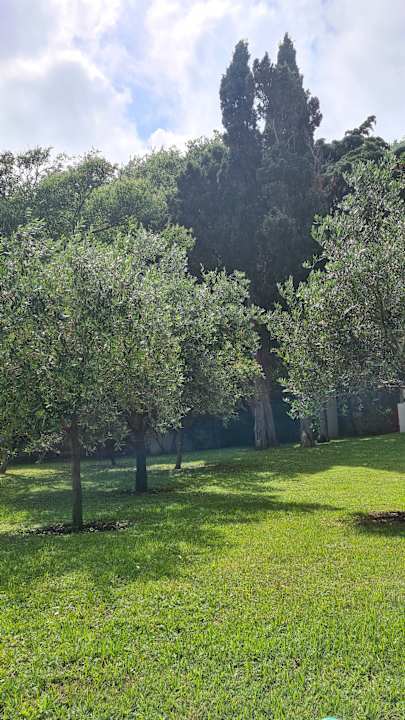 Gartenanlage Iberostar Waves Bellevue