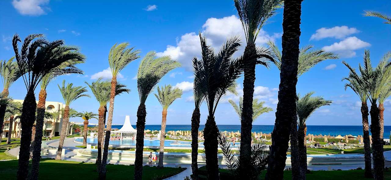 Ausblick Iberostar Waves Averroes