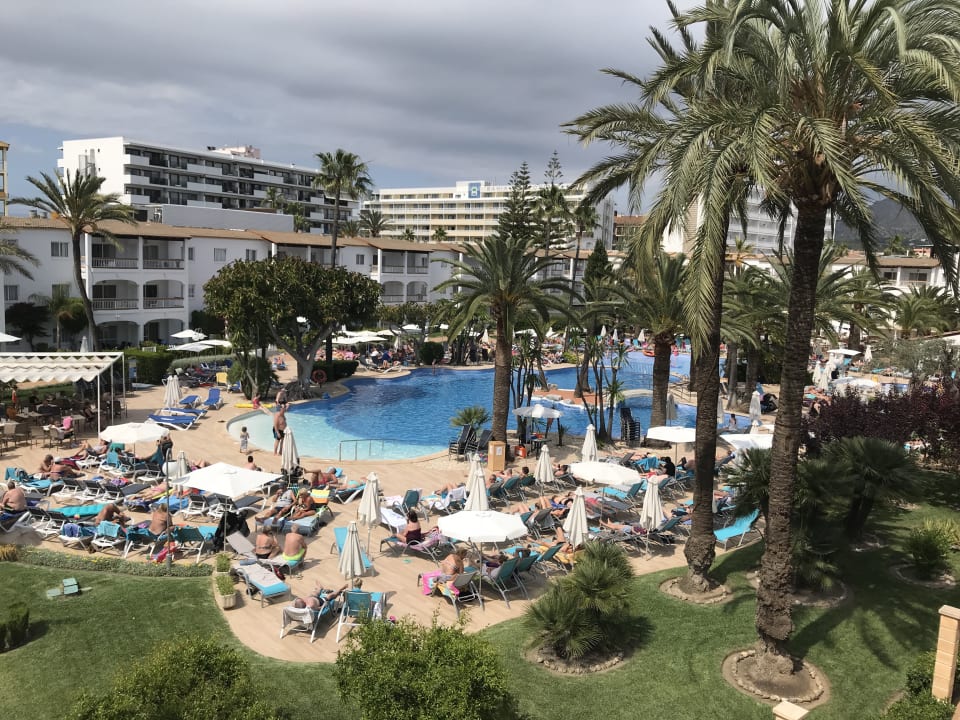 Pool Alcudia Garden Aparthotel