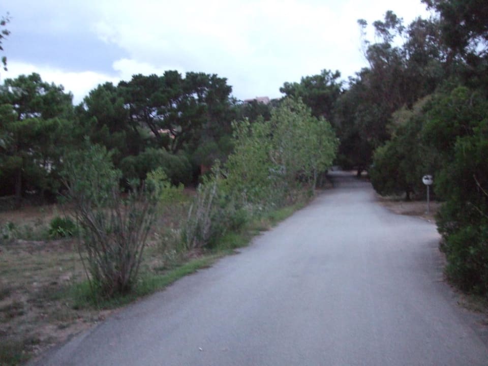 Zufahrtsweg Ferienwohnung Hotel & Residence Abbartello