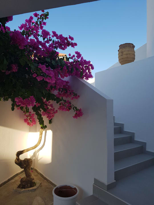 Sonstiges Mrs Chryssana Beach Hotel