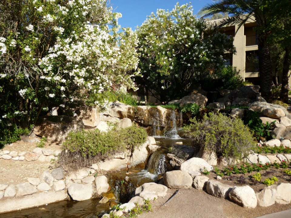 Bachlauf - zieht sich durch die Anlage Hotel Hilton El Conquistador