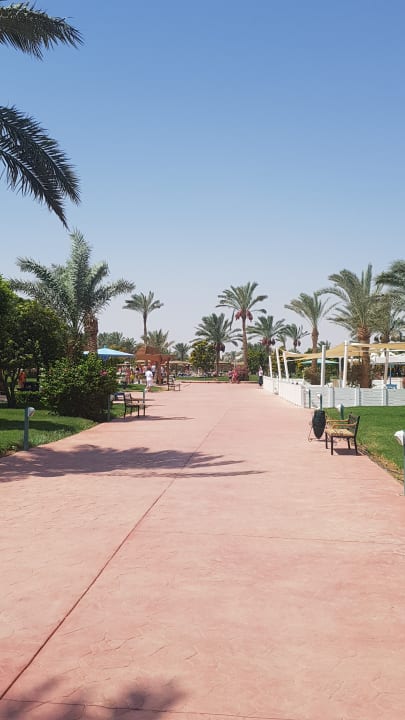 Gartenanlage Desert Rose