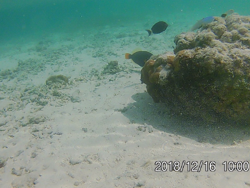 Sport & Freizeit Adaaran Select Hudhuran Fushi - Premium All Inclusive