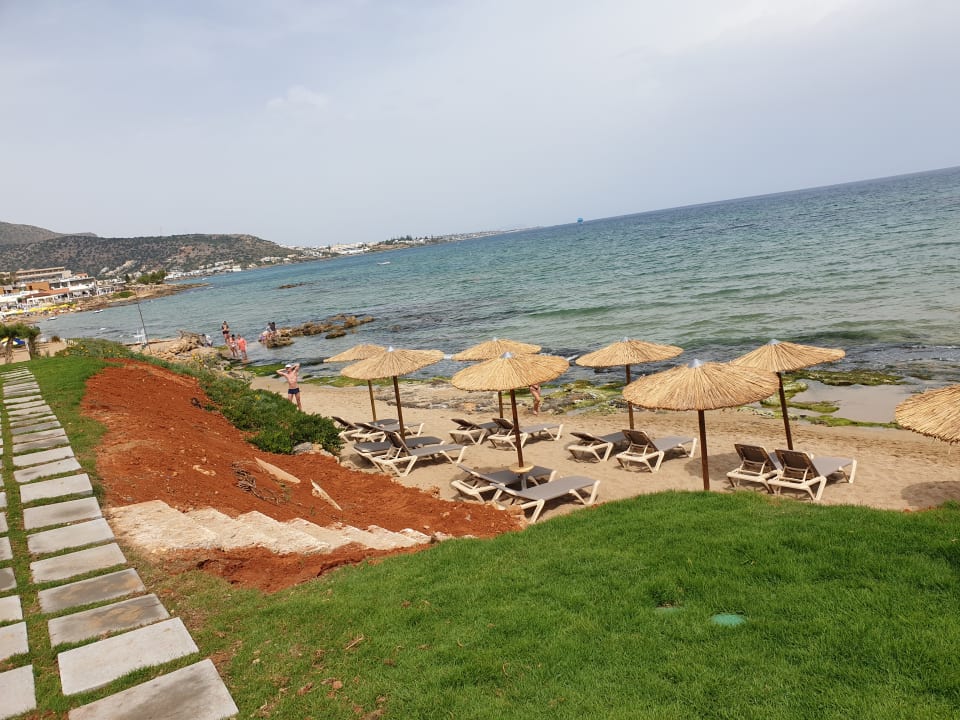 Strand Cactus Mare - Adults only