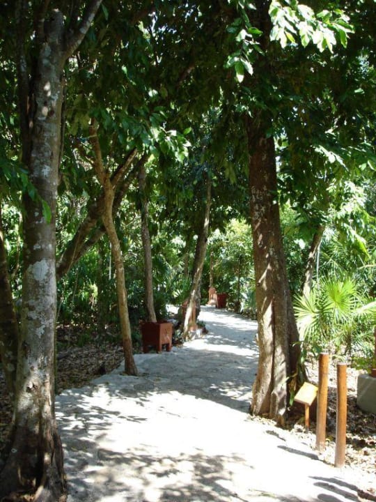 Weg durch den Hotelpark Iberostar Waves Tucan