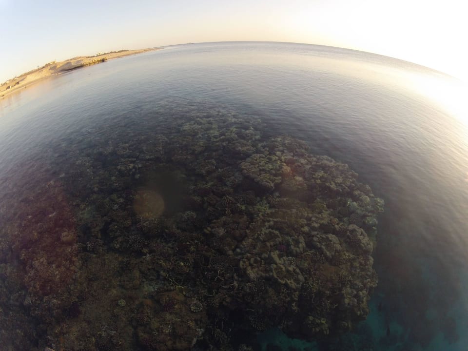 Hausriff Mövenpick Resort El Quseir