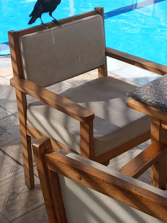 Gastro Regina Resort and Aqua Park Hurghada