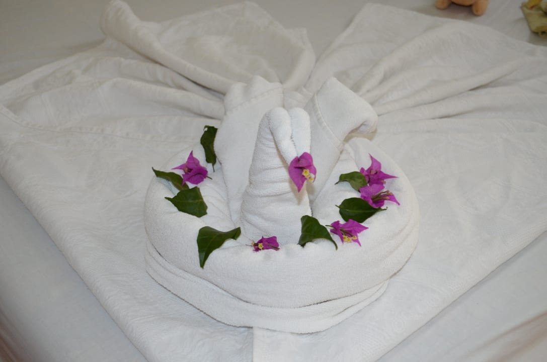 Schöööönnn Hotel Gardenia Beach