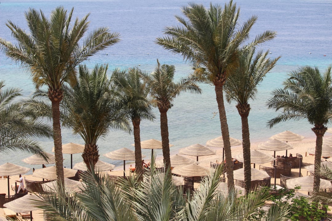 Blick auf Strand Makadi Spa - Adults only
