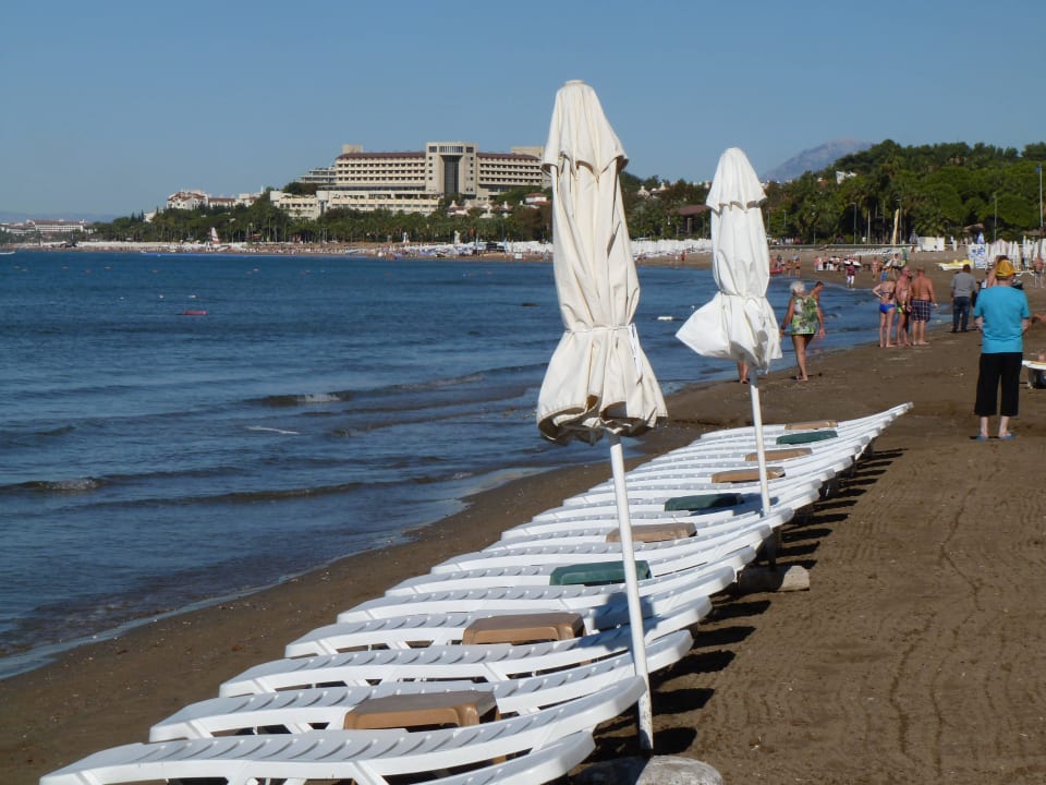 Strand am Morgen Hotel Side Star Park