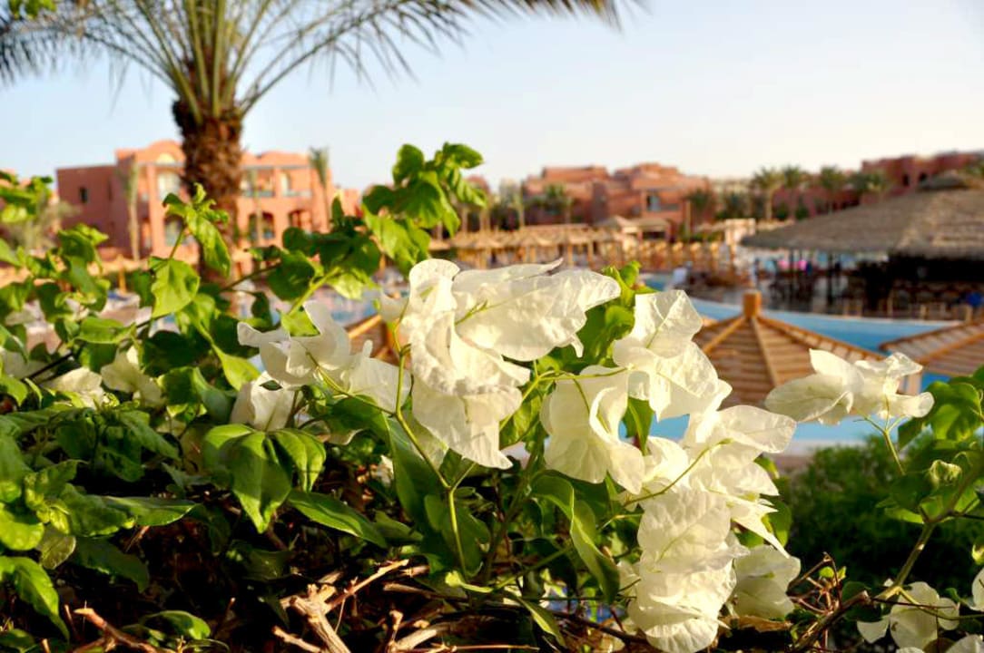 Widok z pokoju TUI MAGIC LIFE Redsina Sharm El Sheikh