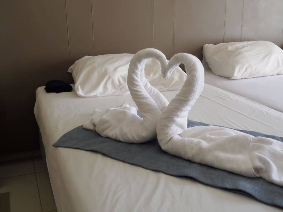 Kleine Aufmerksamkeit JAZ Aquamarine Resort