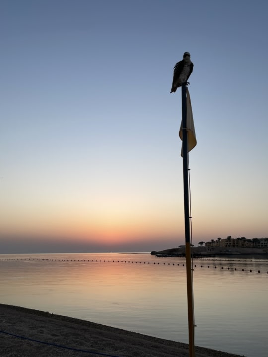 Strand Steigenberger Coraya Beach - Adults only