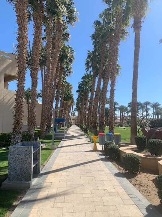 Gartenanlage Beach Albatros Resort