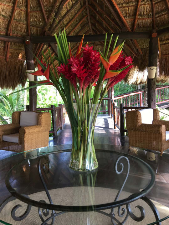 Lobby Akumal Bay Beach & Wellness Resort