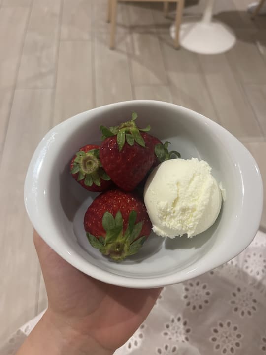 Gastro HSM Son Veri - Adults Only