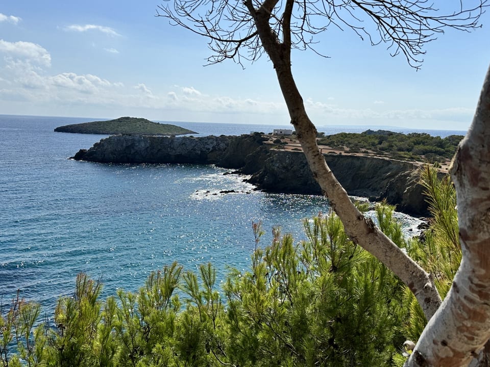 Ausblick TUI MAGIC LIFE Cala Pada