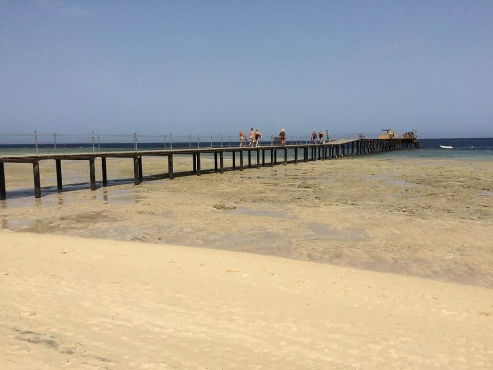 Steg zum Außenriff Hotel Gorgonia Beach Resort