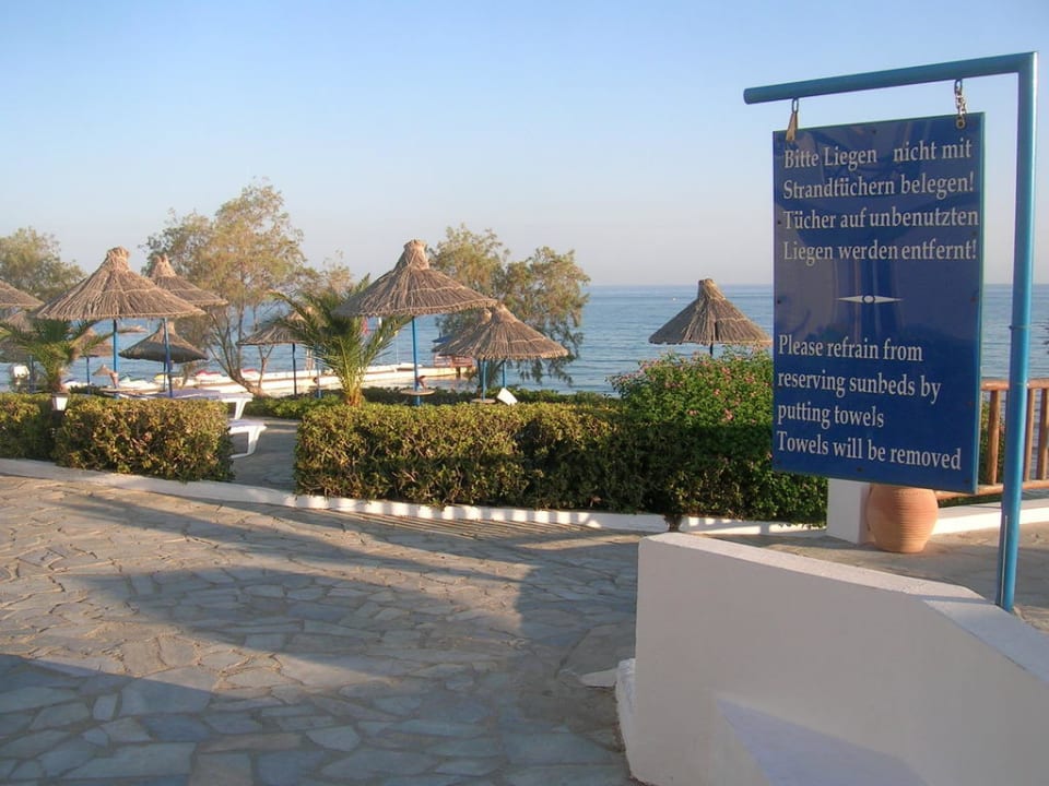 Genug Liegen vorhanden Alexander Beach Hotel & Village Resort